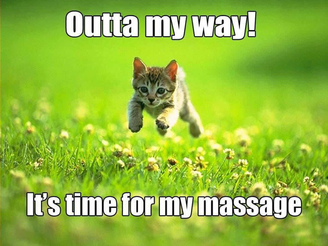 Cute Cat Massage Picture